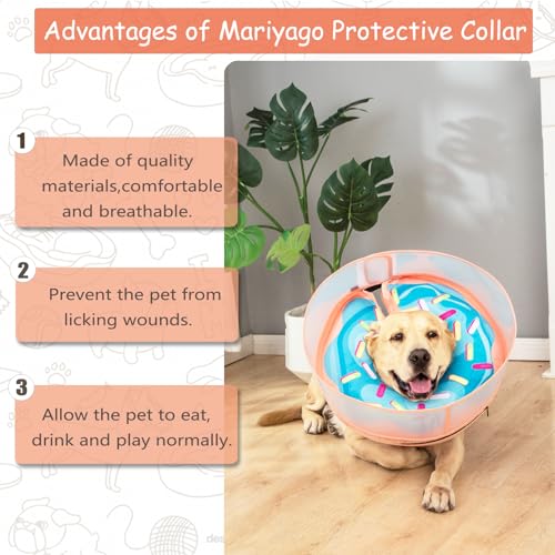 Inflatable Dog Cone Collar with Enhanced Anti (Medium+ / Donut Blue)
