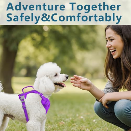 No Pull Dog Harness for Small Sized Dogs (Small(Chest:19.5-26”) / Purple)
