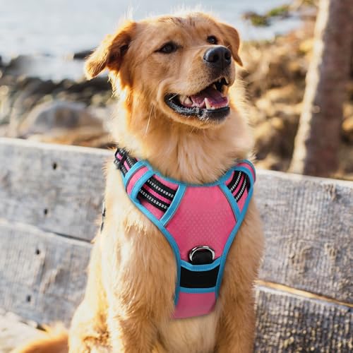Dog Harness for Large (Pink & Blue / X-Large)