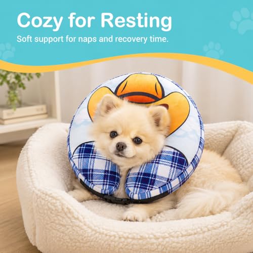 Inflatable Cowboy Dog Cone Collar (L(Neck 15"-18.1"))