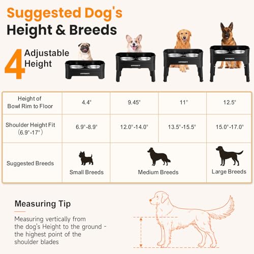 Elevated Dog Bowls (Black / Large)