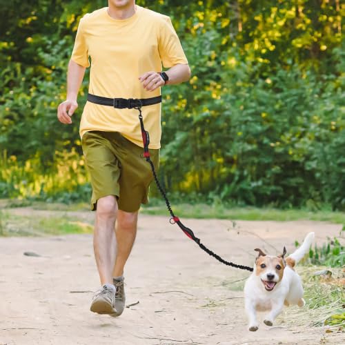 Hands Free Leash (Black Red / 7FT Hands Free)