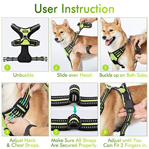 Dog Harness No Pull for Large Dogs with 2 Leash Clips (X-Large / Wild Lime)
