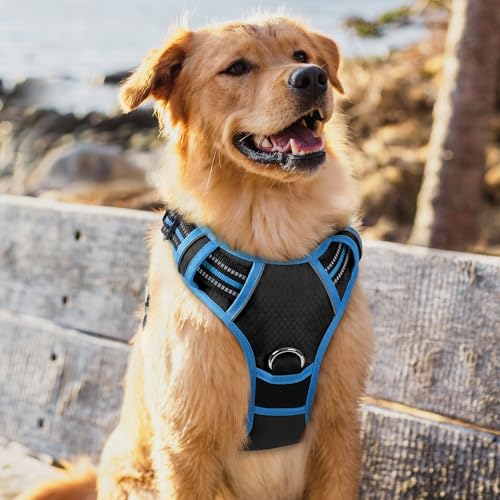 Dog Harness for Large (Black & Blue / X-Large)