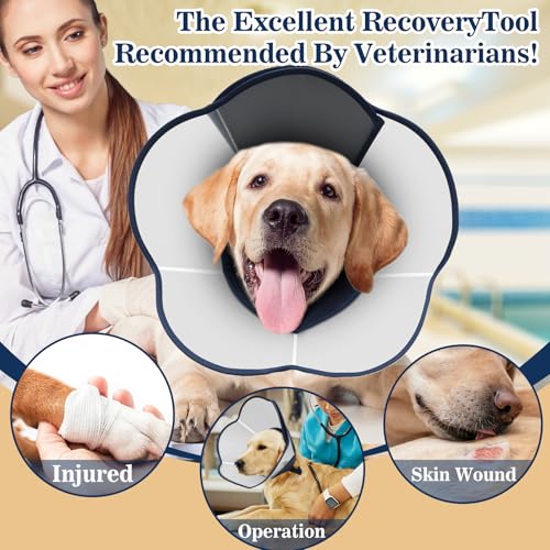 Hard & Heavy Plastic Dog Cone Collar Alternative for Lab Golden GSD (Navy Blue / L(Neck Girth:13.78"-17.9"))