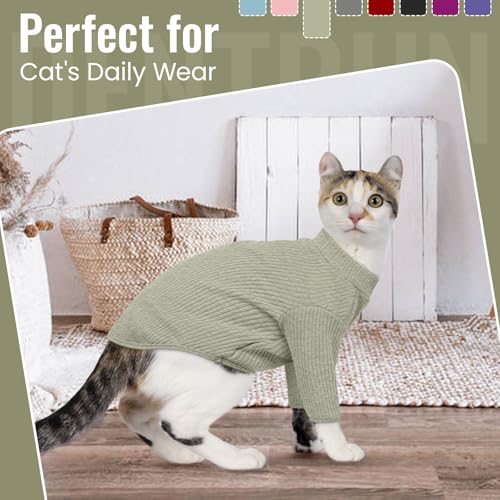 Hairless Cat Shirt (Small / Green)
