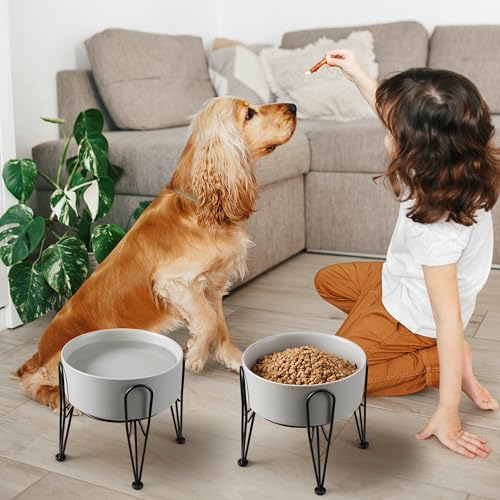 Elevated Dog Bowls (Gray / 7.6 Cups | 2 Pack | For Large Dogs)