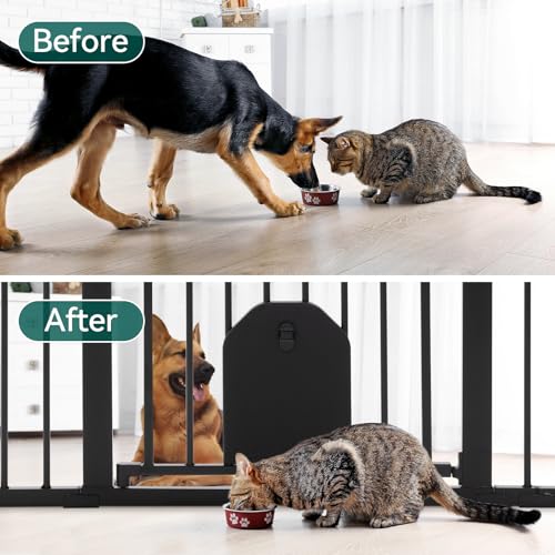 Auto Close Dog Gate with Cat Door (Black / 29-43" Wide, 30" Tall | Standard)
