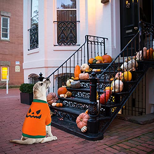 5 Pcs Halloween Dog Shirt Pumpkin Ghost Print (S)