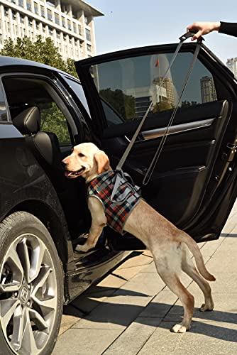 Dog Lift Harness (Medium / Chest-Orange)