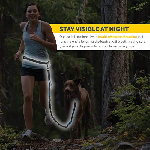 Waist Hands Free Dog Leash for Walking Running Hiking (gray/teal)