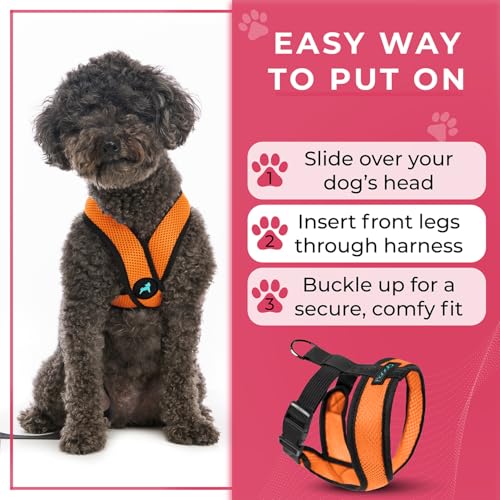 Orange X Large Comfort X Head in Harness (X-Large Chest (20.5-28") / Orange)