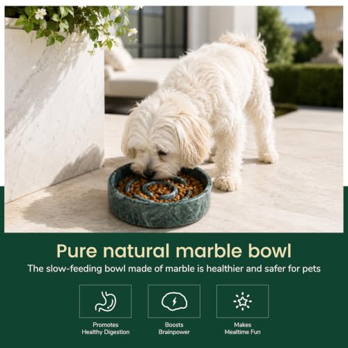 Marble Slow Feeder Dog Bowl (Verde Alpi)