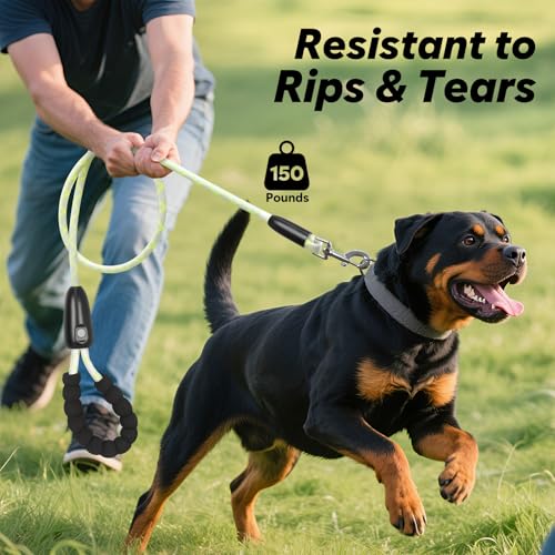 LED Light Up Dog Leash (Multi-Color / 6FT)