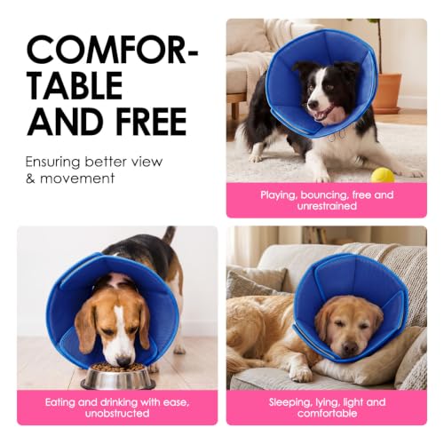 Soft Dog Cone (Blue / Large)