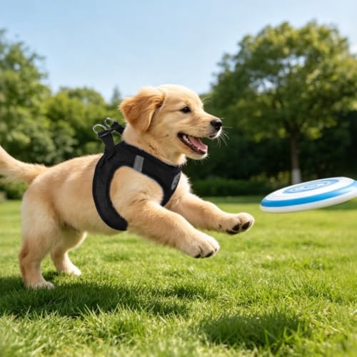 Dog Harness Collar and Leash Set No Pull for Small Medium Sized (Solid Black / S (CHEST 14.5"-16"))