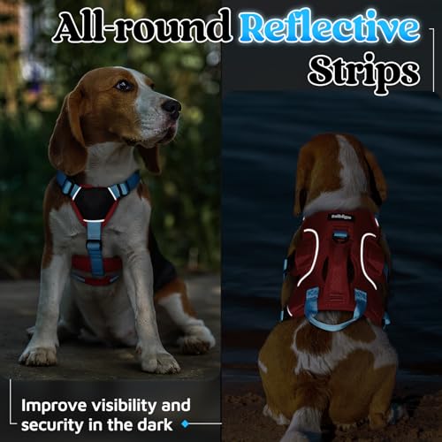 Escape Proof Dog Harness for Small (Sky Blue & Red / Small)