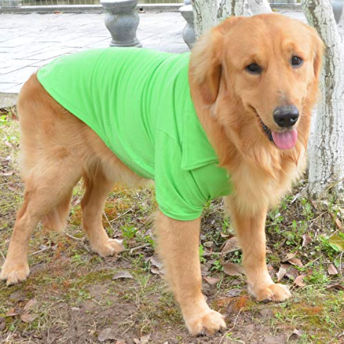 Basic Dog Polo Shirts Premium Cotton (XS (-6lbs) / Green)