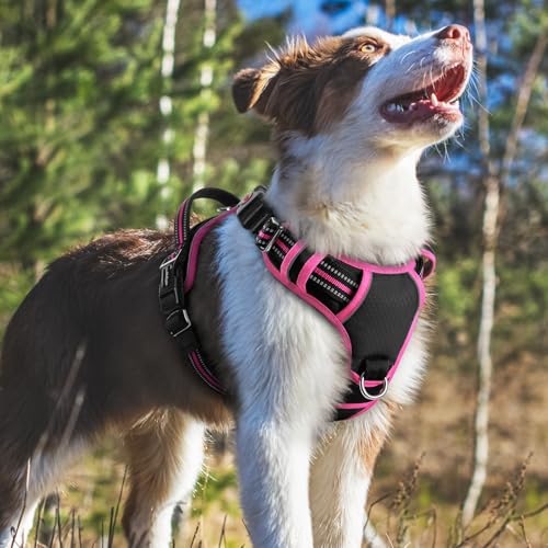 Dog Harness Medium Sized (Black & Pink / Medium)