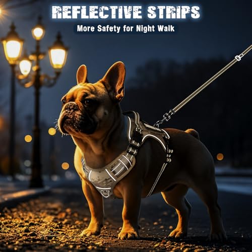 Tactical Service Dog Vest and Leash Set with 10 Patches Camo S (Small / Desert Camo)