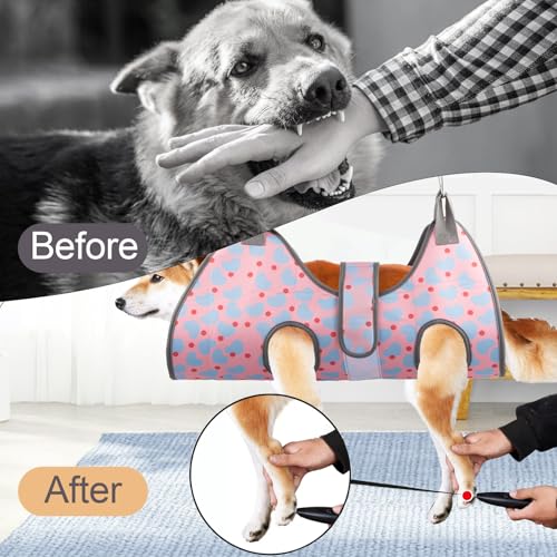 Pet Grooming Hammock for Cats & XS Small Dogs with Nail Clippers