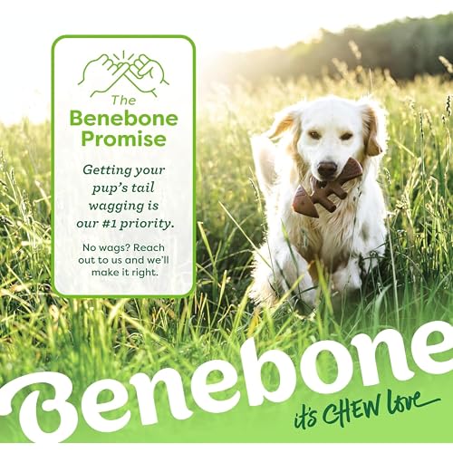 Fishbone Durable Dog Chew Toy for Aggressive Chewers (REAL Jack Salmon / Small)