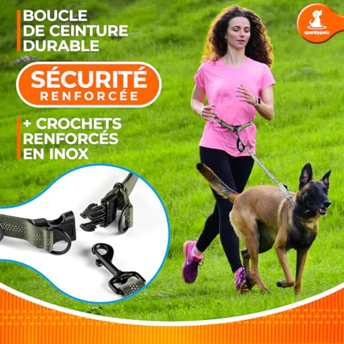 Hands Free Dog Leash (Olive Green / 1 dog M/L)