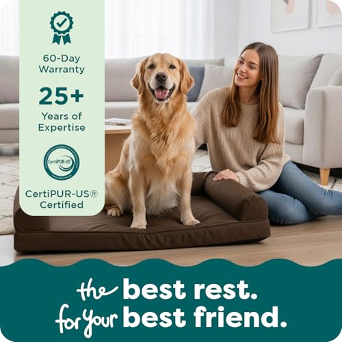 Orthopedic Dog Bed for Large Dogs w (Jumbo / Espresso)