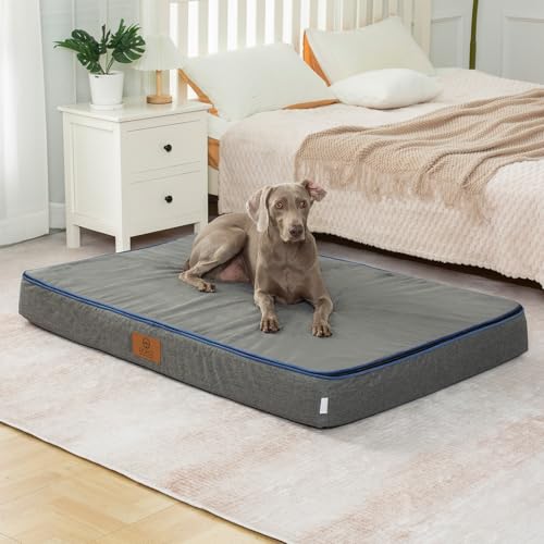 Orthopedic Memory Foam Giant Dog Bed (53.0"L x 36.0"W x 6.0"Th / Dark Grey)