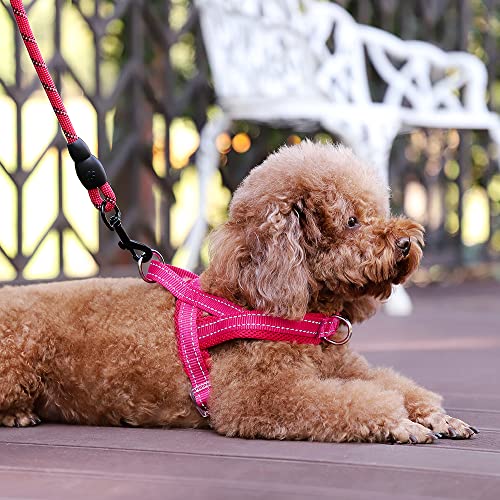 No Pull Dog Harness for Puppy Small Dogs (XS: chest 13.8"-17.3" / Pink)