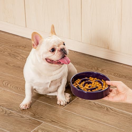Slow Feeder Dog Bowl (S - 0.6 Cups / Dark Purple)