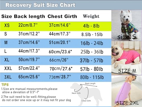 Dog Surgery Recovery Suit (XS(Back 8 - 10" Chest 12 - 14" Weight 4 - 8lb) / Rose)
