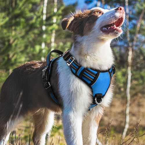 Dog Harness Medium Sized (Blue / Medium)
