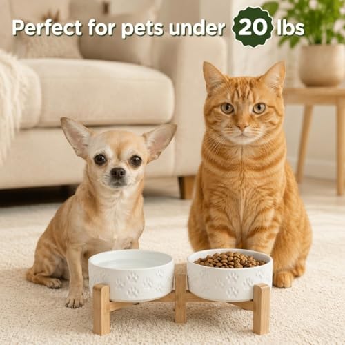 Elevated Dog Bowls Ceramic (5.1 in - 1.7 cups / Paw White)