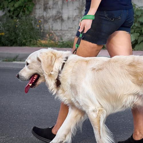 Reflective Short Dog Leashes 3 Pack for Walking and Training (Green / 1FT+1.5FT+2.5FT)