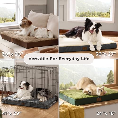XL Dog Bed Extra Large Pet Bed with Comfy Sherpa (44"L x 32"W x 3"Th / Black)