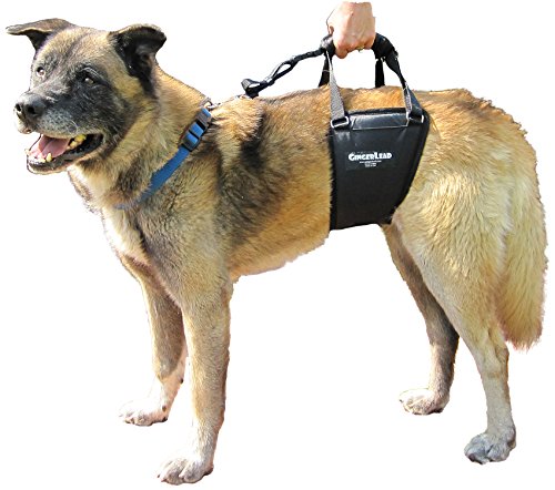 K9 Support Harness (Tall - Male)