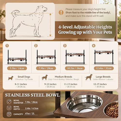 Elevated Dog Bowls