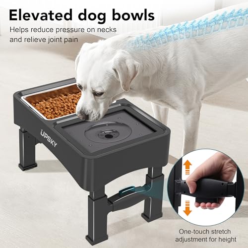 3-in-1 Elevated Dog Bowls Set with 4 Height Adjustable Stand, Balck (C-3 in 1 (Black))