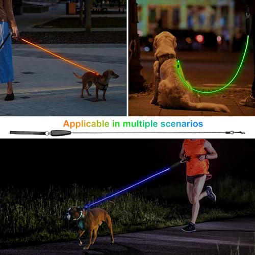 Light Up Dog Leash (Colorful / 5 feet)