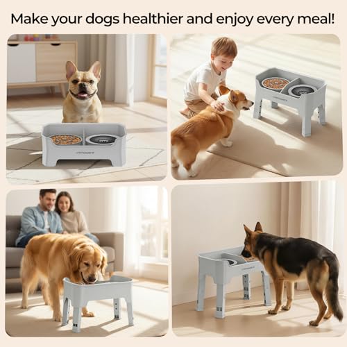 Mess Proof Elevated Dog Bowls 4 Height Adjustable Raised Stand (Light Grey / Large)