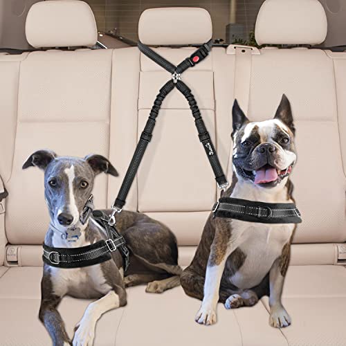 Double Dog Car Seat Belt (Black)