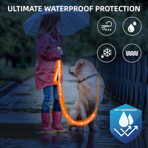 Light up Dog Leash for Night Walking (6 FT / Red)