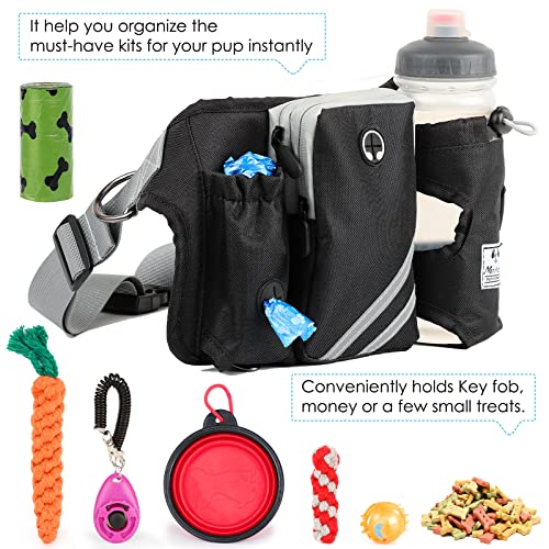 Retractable Hands Free Dog Leash with Dual Bungees for 2 Dogs (Blue/Black)