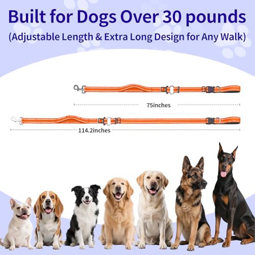 Hands Free Dog Leash by Kazazoo (OrangeM / M)