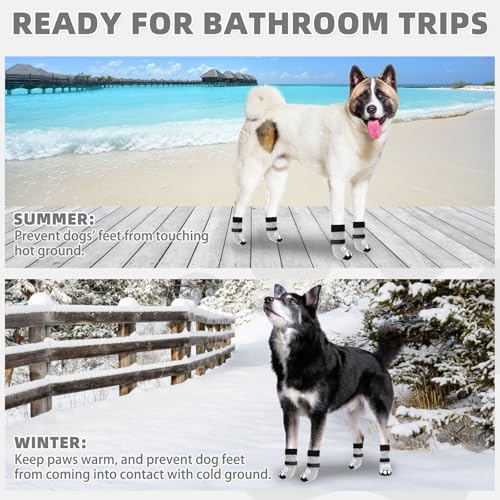 Dog Socks for Hot (Light Grey / Large (4 Pack))