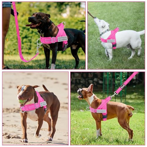 No Pull Dog Harness and Leash Set (Fuchsia / Medium)