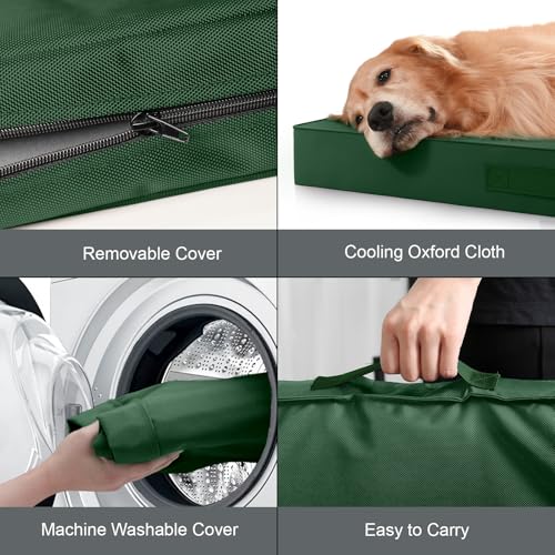 Jumbo Waterproof Orthopedic Dog Bed for Extra Large Dogs (Dark Green / 53.0"L x 36.0"W x 4.0"Th)