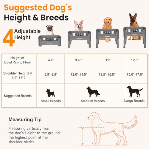 Elevated Dog Bowls (Grey / Large)