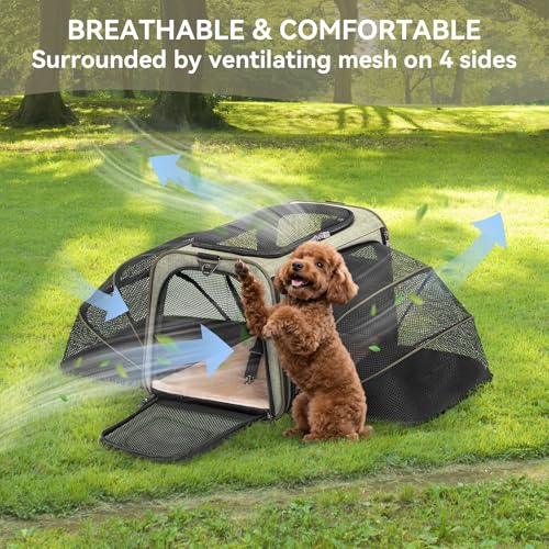 Medium Double Expandable Cat Carrier for Cats and Small Dogs (17.0"L x 11.0"W x 11.0"H / Green)